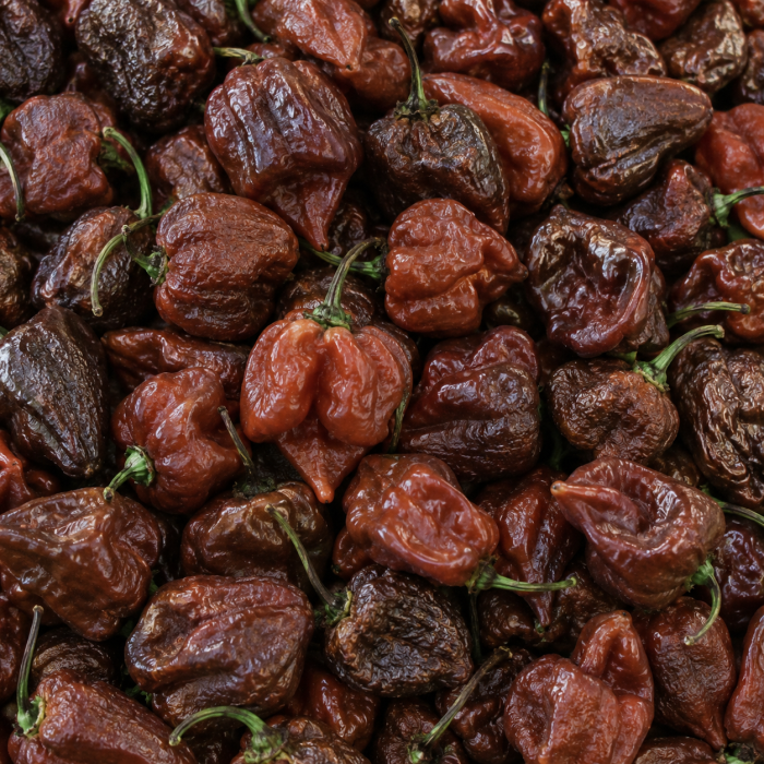 Свіжий перець Trinidad Scorpion шоколадний, 300 г (передзамовлення) | FieryFox