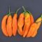 Насіння гострого перцю Aji Amarillo, 5 штук