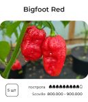Насіння гострого перцю Bigfoot Red, 5 штук