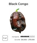 Насіння гострого перцю Black Congo, 5 штук