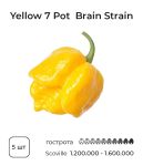 Насіння гострого перцю Yellow Brain Strain / Yellow 7 Pot, 5 штук