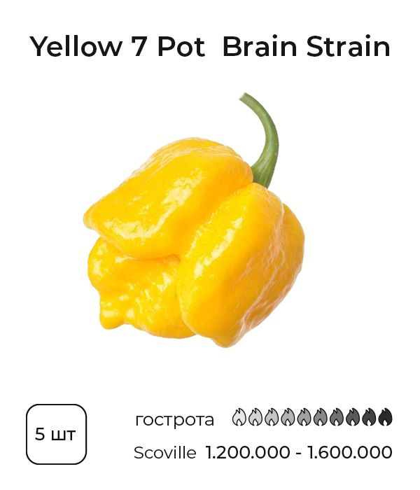 Насіння гострого перцю Yellow Brain Strain / Yellow 7 Pot, 5 штук
