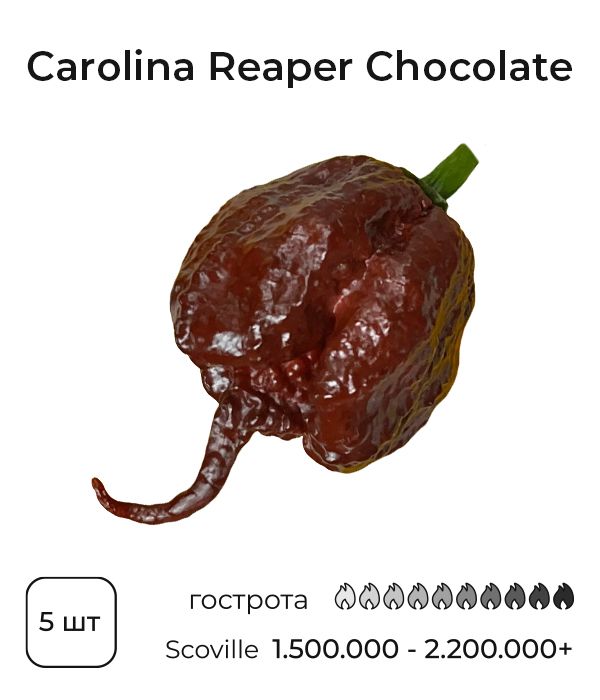 Насіння гострого перцю Carolina Reaper Chocolate, 5 штук