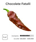 Насіння гострого перцю Chocolate Fatalii, 5 штук