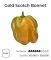 Насіння гострого перцю Gold Scotch Bonnet, 5 штук