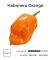 Насіння гострого перцю Habanero Orange, 5 штук