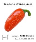Насіння гострого перцю Jalapeno Orange Spice, 5 штук
