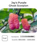 Насіння гострого перцю Jay's Purple Ghost Scorpion, 5 штук
