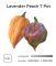 Насіння гострого перцю Lavender Peach 7 Pot, 5 штук