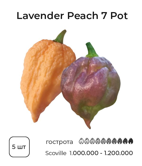 Насіння гострого перцю Lavender Peach 7 Pot, 5 штук
