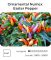 Насіння гострого перцю Easter Ornamental NuMex, 5 штук