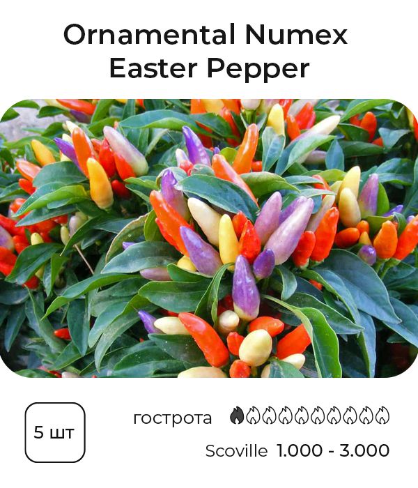 Насіння гострого перцю Easter Ornamental NuMex, 5 штук