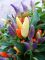 Насіння гострого перцю Easter Ornamental NuMex, 5 штук