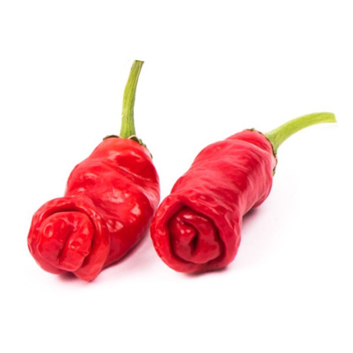 Насіння гострого перцю Peter pepper, 5 штук