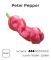 Насіння гострого перцю Peter pepper, 5 штук