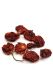 Перець сушений Carolina reaper (Каролінський жнець)
