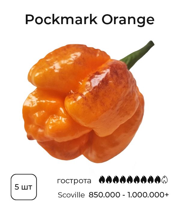 Насіння гострого перцю Pockmark Orange Pepper, 5 штук