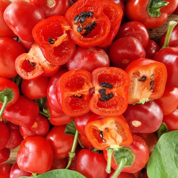 Насіння гострого перцю Rocoto Manzano Red, 5 штук