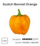 Насіння гострого перцю Orange Scotch Bonnet, 5 штук