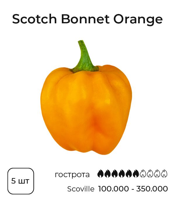 Насіння гострого перцю Orange Scotch Bonnet, 5 штук