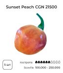 Насіння гострого перцю Sunset Peach CGN 21500, 5 штук