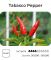 Насіння гострого перцю Tabasco Pepper, 5 штук
