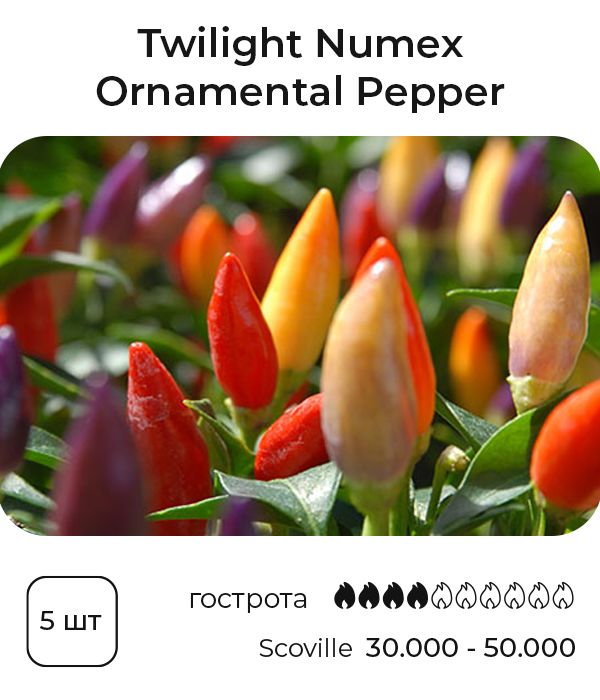 Насіння гострого перцю Twilight Numex ornamental, 5 штук