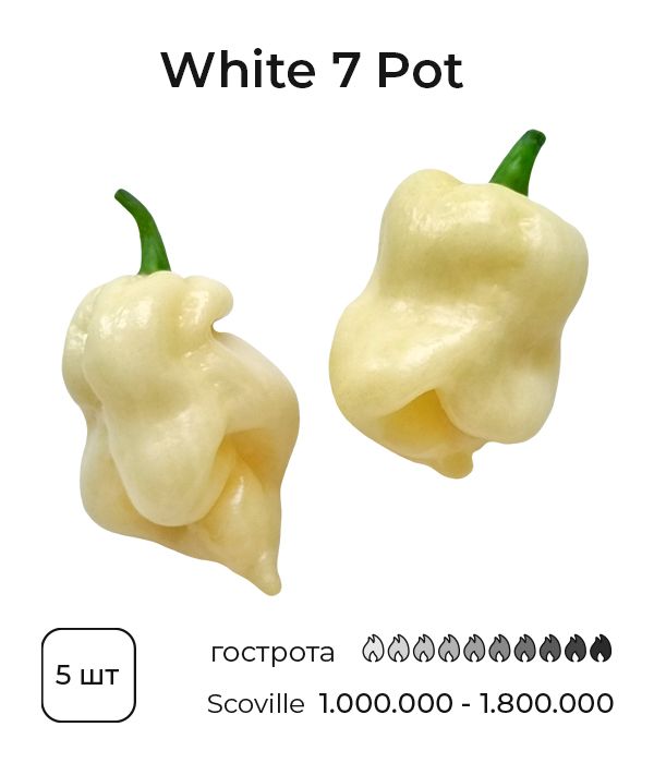 Насіння гострого перцю White 7 Pot, 5 штук